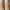 Promotion banner