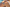 Promotion banner
