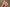 Promotion banner