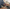 Promotion banner